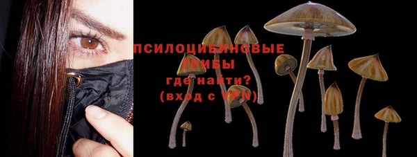 марки lsd Горно-Алтайск