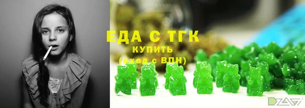 МДПВ Дмитриев