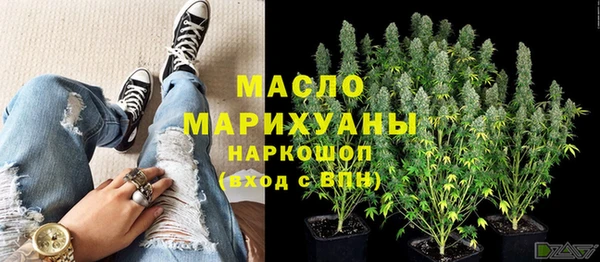 Альфа ПВП Горняк