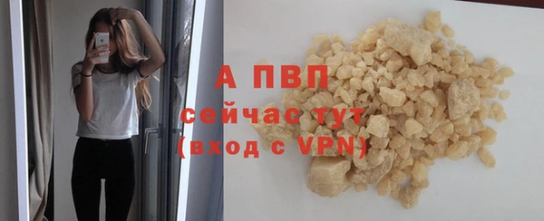 МДПВ Дмитриев