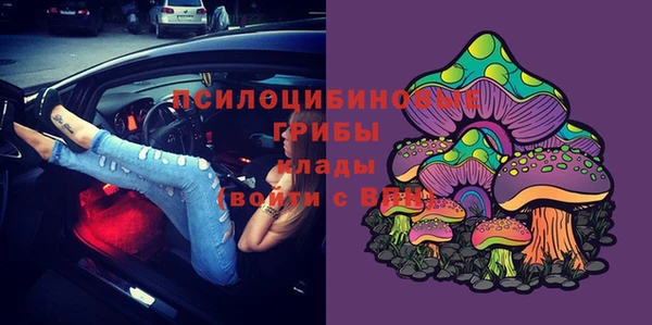 Альфа ПВП Горняк